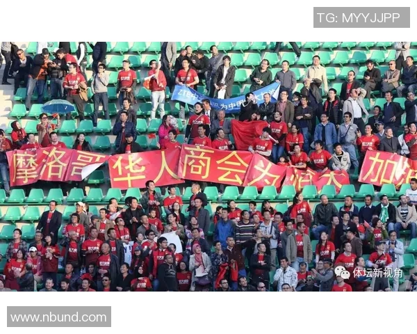 西安排球队比赛经验引发热议球迷观点各异探讨战术与表现 西安排球队比赛经验引发热议球迷观点各异探讨战术与表现